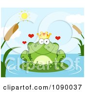 Loving Frog Prince Perched On A Pond Lily Pad