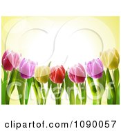 Poster, Art Print Of 3d Spring Tulip Flowers And Flares Over Yellow