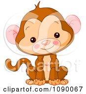 Cute Baby Monkey Sitting Upright And Smiling