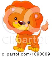 Poster, Art Print Of Cute Lion Cube With A Mane