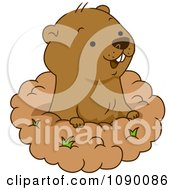 Poster, Art Print Of Happy Groundhog Peeking Out Of His Hole
