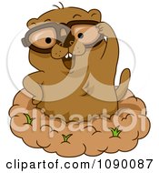 Poster, Art Print Of Happy Groundhog Wearing Glasses And Standing In His Hole