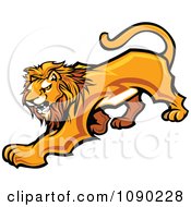 Poster, Art Print Of Male Lion Mascot Prowling