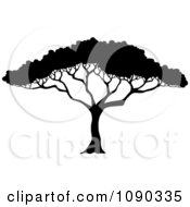 Clipart Silhouetted Acacia Tree With Lush Foliage Royalty Free Vector Illustration by visekart #COLLC1090335-0161