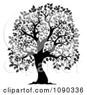 Clipart Black Silhouetted Tree With Leafy Foliage Royalty Free Vector Illustration by visekart #COLLC1090336-0161