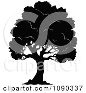 Poster, Art Print Of Black Silhouetted Tree With Lush Foliage
