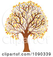 Poster, Art Print Of Tree With Orange Autumn Foliage