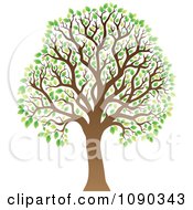 Poster, Art Print Of Tree With Green Spring Leaves