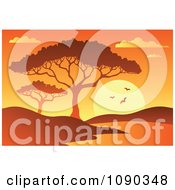 Poster, Art Print Of Orange African Dawn Or Sunset With A Tree And Watering Hole