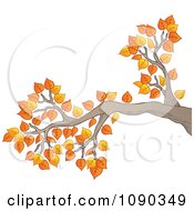 Tree Branch With Autumn Leaves