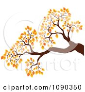 Tree Branch With Autumn Foliage