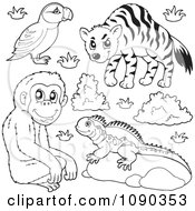 Poster, Art Print Of Outlined Puffin Monkey Lizard And Hyena Zoo Animals