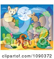 Poster, Art Print Of Desert Fox Scorption Snake And Mouse At Nigh