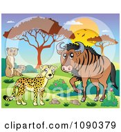 Poster, Art Print Of Cheetah Meerkat And Wildebeest Savannah Animals At Sunset