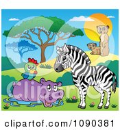 Wading Hippo Parrot Zebra And Meerkat Savannah Animals