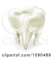 Poster, Art Print Of 3d Sparkling White Wisdom Or Molar Tooth