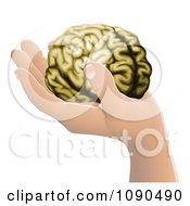 Poster, Art Print Of Human Hand Holding A Brain