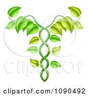 Green Vine Forming An Alternative Medicine Caduceus