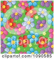 Poster, Art Print Of Seamless Colorful Daisy And Grass Background
