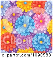 Poster, Art Print Of Seamless Colorful Daisy And Purple Background