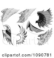 Poster, Art Print Of Black And White Feathered Wings