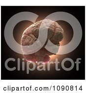 Clipart 3d Floating Human Brain Royalty Free CGI Illustration