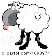 Clipart White Sheep Turning Its Head Back And Sticking Its Tongue Out Royalty Free Vector Illustration