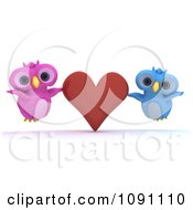 3d Pink And Blue Owl Couple With A Red Valentine Heart