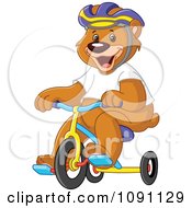 Clipart Bear Wearing A Helmet And Riding A Tricycle Royalty Free Vector Illustration