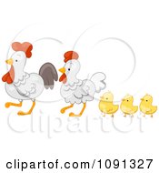 Poster, Art Print Of Cute Chicken Family Walking