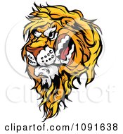 Poster, Art Print Of Snarling Male Lion Mascot Head