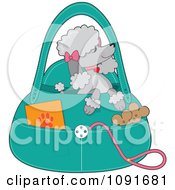 Poster, Art Print Of Prissy Gray Poodle Waiting In A Purse