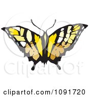 Poster, Art Print Of Brown And Yellow Butterfly