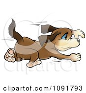 Poster, Art Print Of Brown Puppy Running