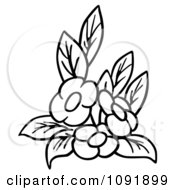 Clipart Outline Of Three Flowers And Leaves Royalty Free Vector Illustration