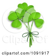3d St Patricks Day Clovers Tied Together