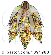 Poster, Art Print Of Colorful Indian Corn