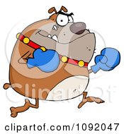 Clipart Brown Bulldog Boxer With Blue Gloves Royalty Free Vector Illustration by Hit Toon