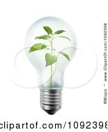 Poster, Art Print Of 3d Seedling Plant Inside A Light Bulb