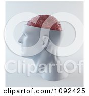 Poster, Art Print Of 3d Head With A Visible Pink Brain