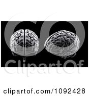 Poster, Art Print Of 3d Human Brains On Black