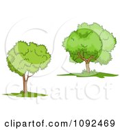 Poster, Art Print Of Two Mature Trees 1