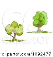 Clipart Two Mature Trees 2 Royalty Free Vector Illustration