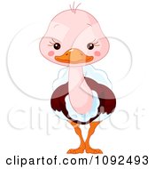 Poster, Art Print Of Cute Baby Zoo Ostrich