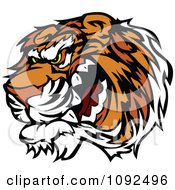 Poster, Art Print Of Angry Growling Tiger Mascot Head