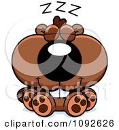 Poster, Art Print Of Cute Beaver Sleeping