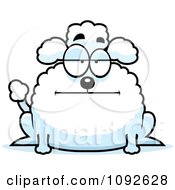 Poster, Art Print Of Chubby Bored Poodle