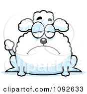 Poster, Art Print Of Chubby Depressed Poodle