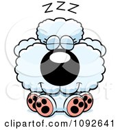 Poster, Art Print Of Cute White Poodle Puppy Sleeping