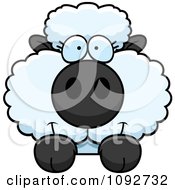 Poster, Art Print Of Cute Baby Sheep Looking Over A Surface